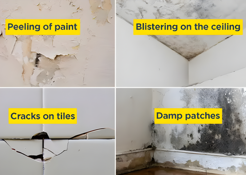 Bathroom waterproofing for walls, floors and ceiling